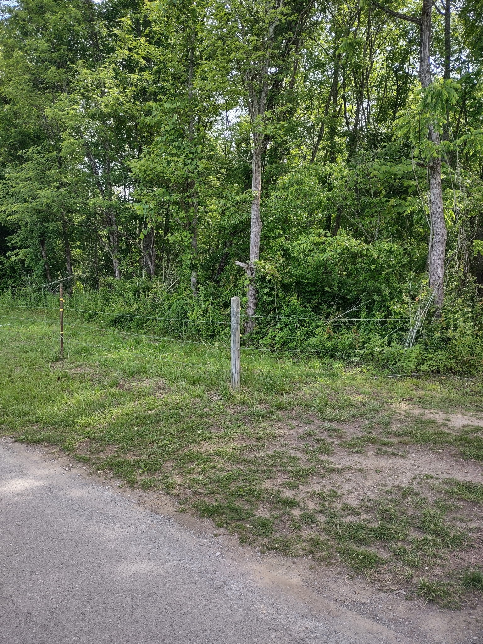 689 Stone Door Road Beersheba Springs TN 37305