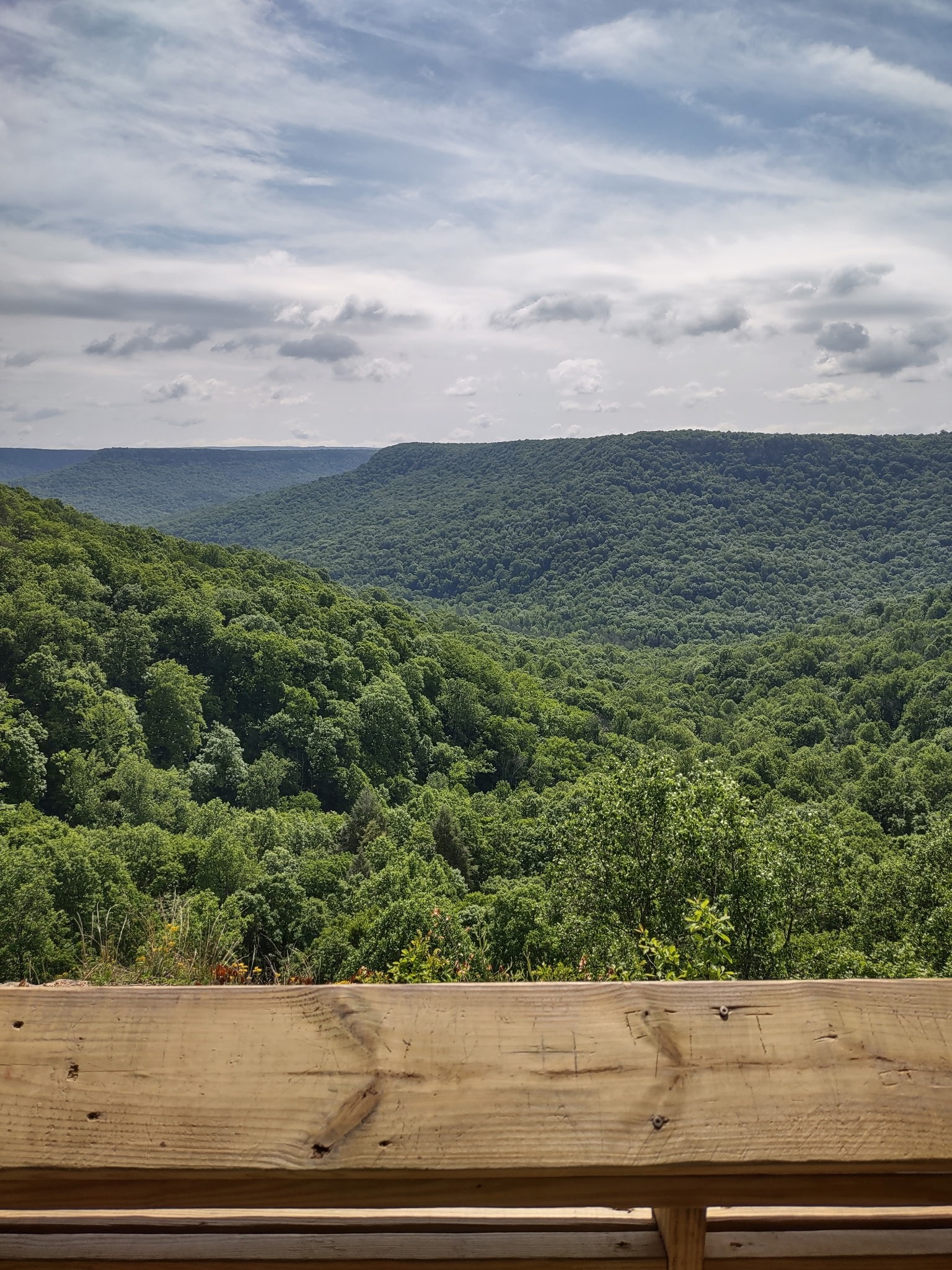 689 Stone Door Road Beersheba Springs TN 37305
