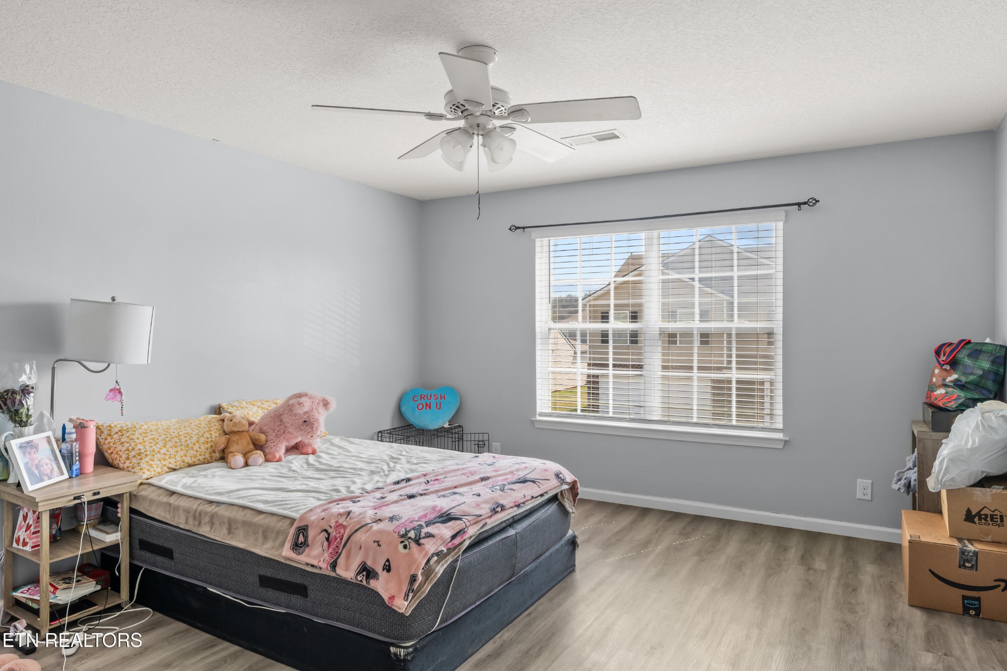 831 Old Towne Loop Drive Seymour TN 37865