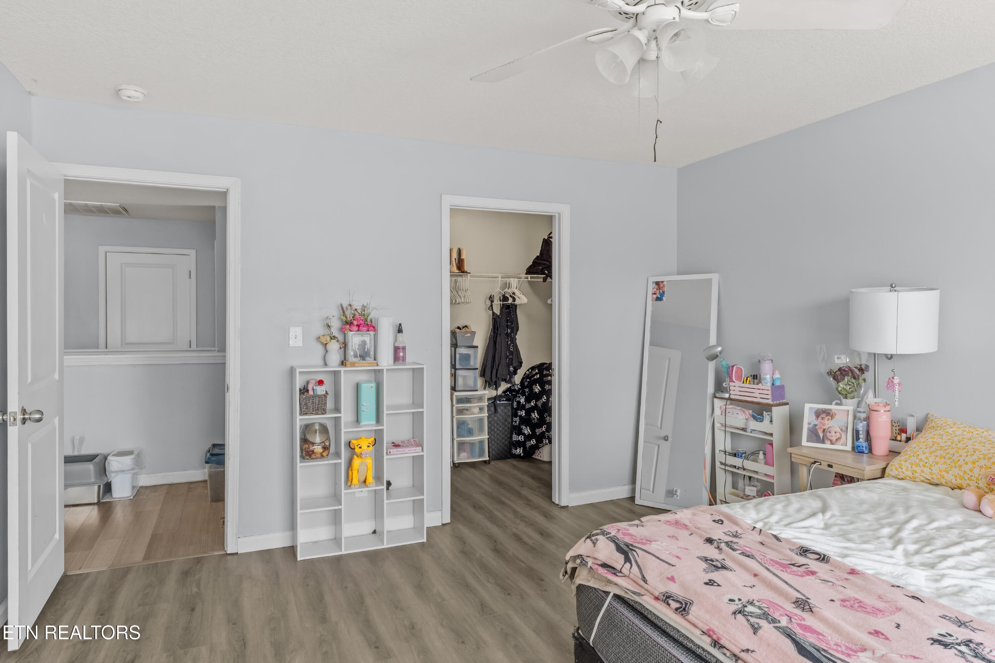 831 Old Towne Loop Drive Seymour TN 37865