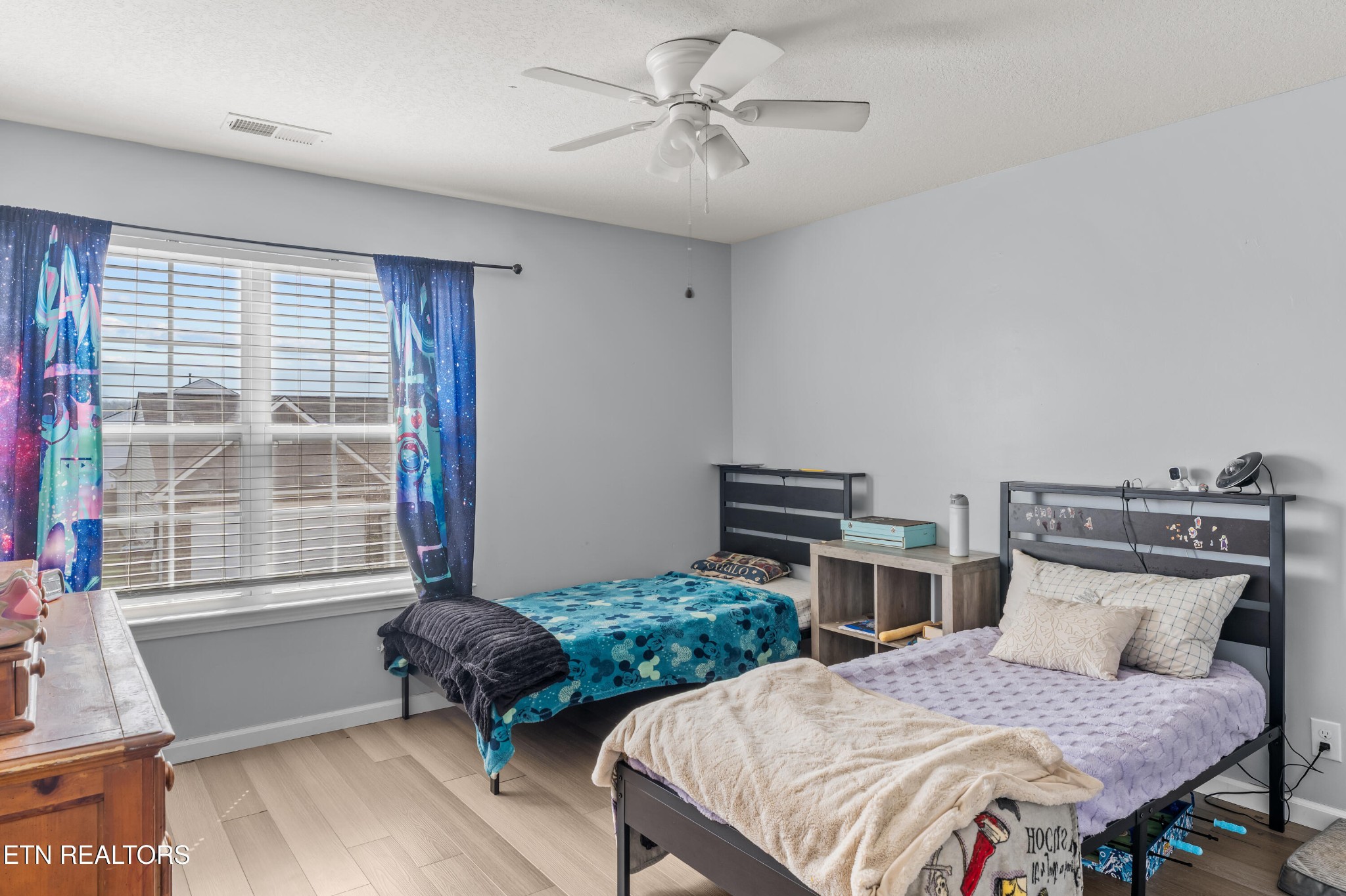 831 Old Towne Loop Drive Seymour TN 37865