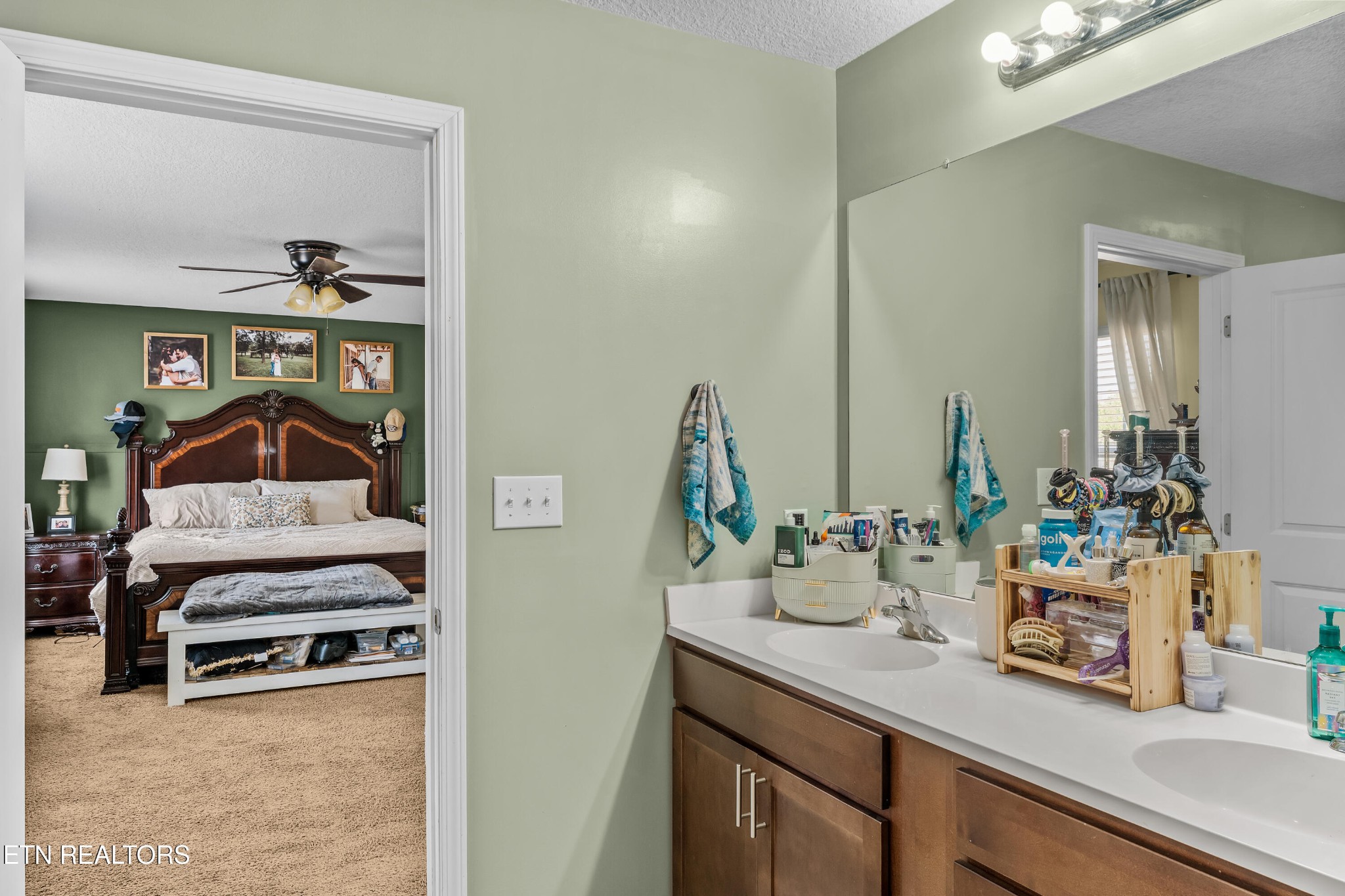 831 Old Towne Loop Drive Seymour TN 37865