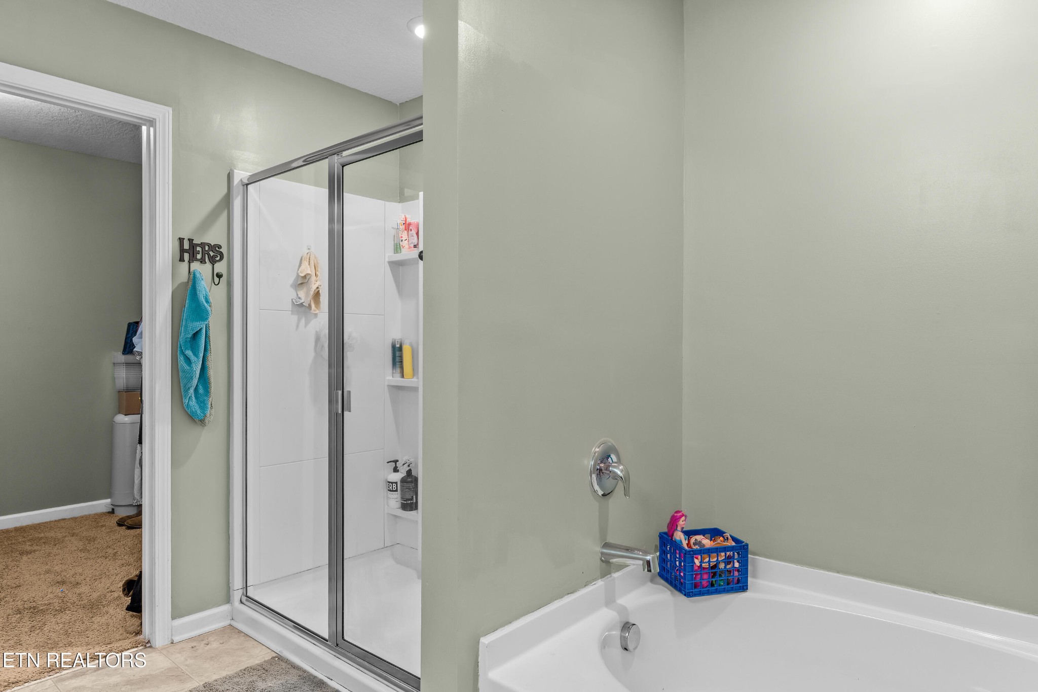 831 Old Towne Loop Drive Seymour TN 37865