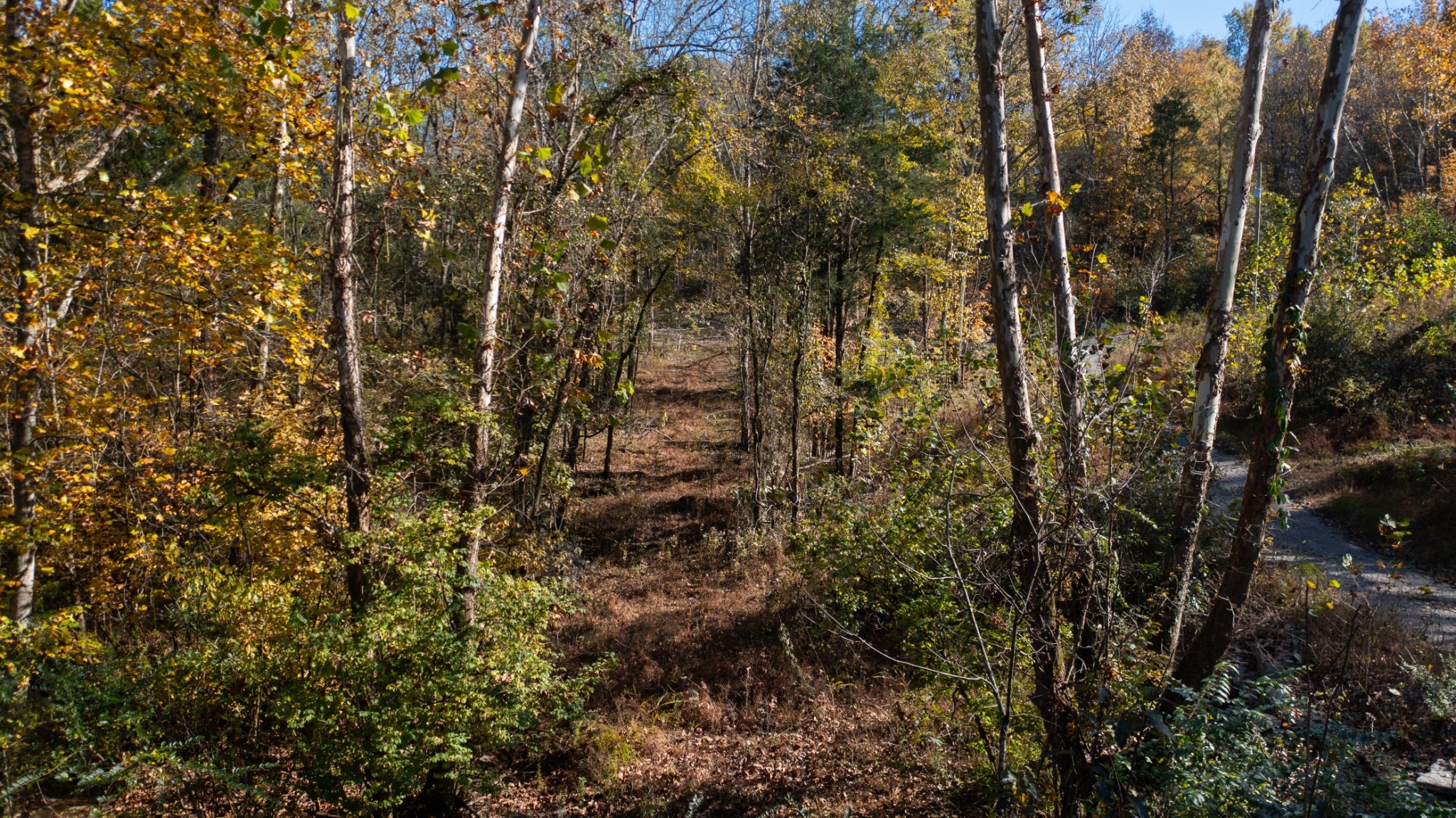 151 Angels Cove Lane Lebanon TN 37087