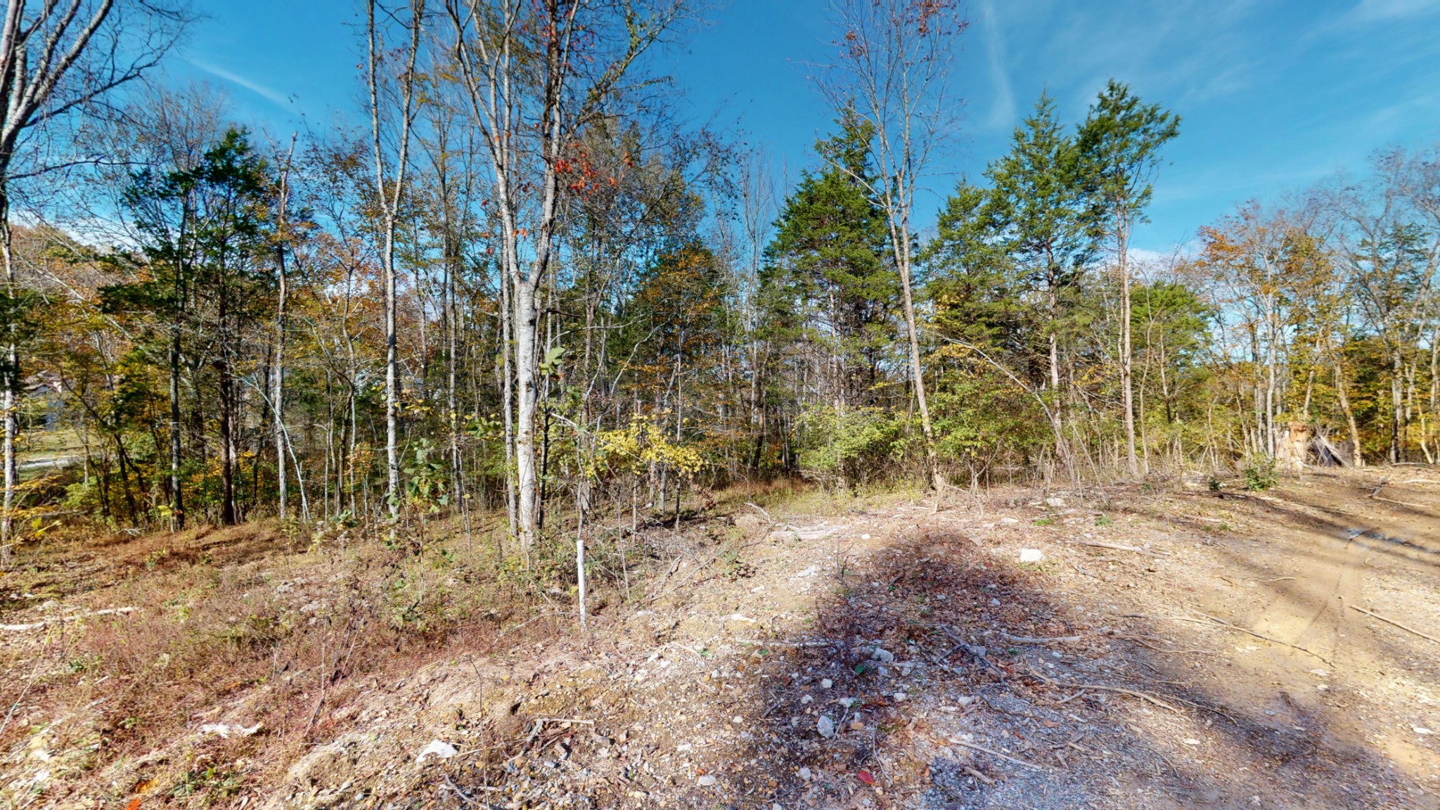 151 Angels Cove Lane Lebanon TN 37087