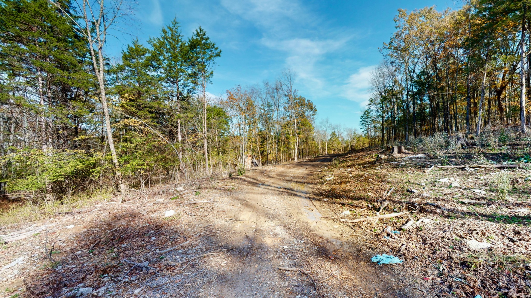 151 Angels Cove Lane Lebanon TN 37087