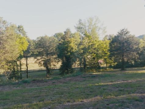 2520 Knob Creek Road Columbia TN 38401
