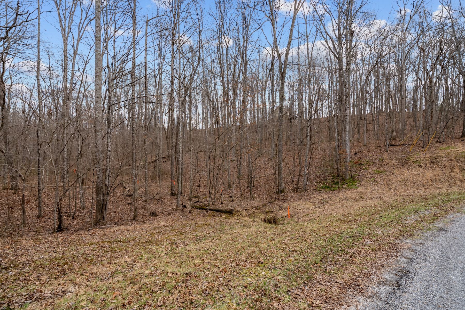 0 Creek Drive Monterey TN 38574