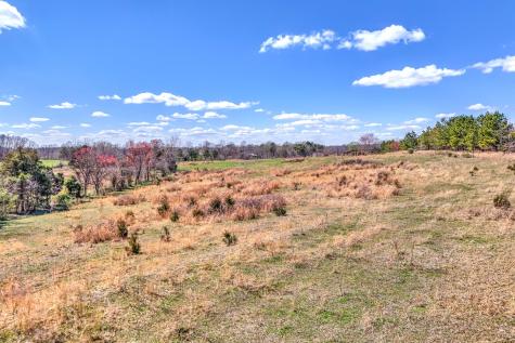 0 Bradford Primm Springs TN 38476