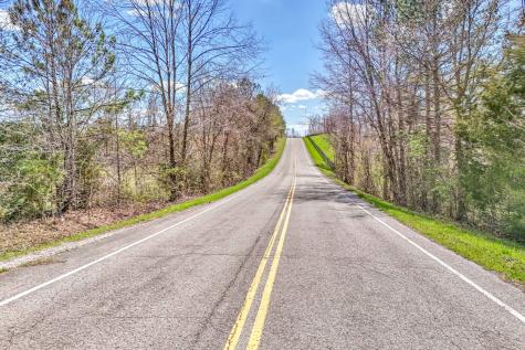 0 Bradford Primm Springs TN 38476