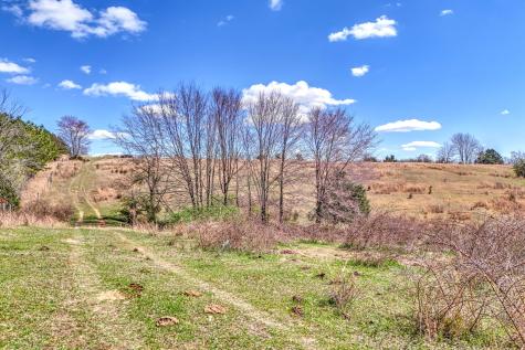 0 Bradford Primm Springs TN 38476