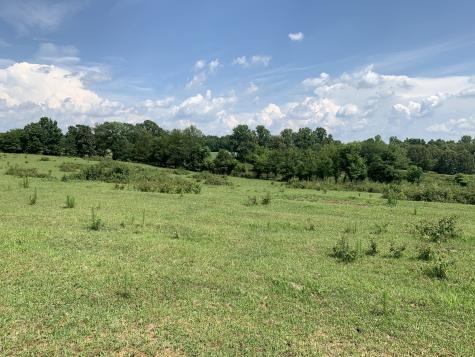 0 Bradford Primm Springs TN 38476