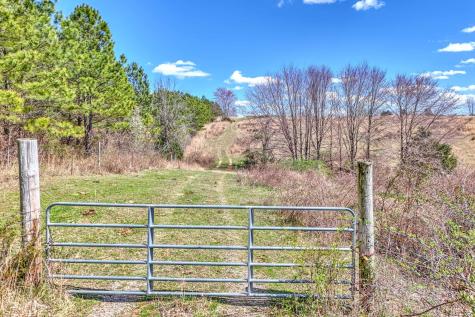 0 Bradford Primm Springs TN 38476