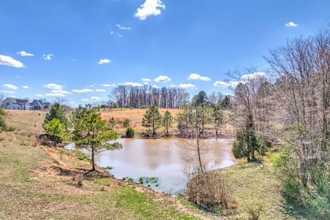 0 Bradford Primm Springs TN 38476