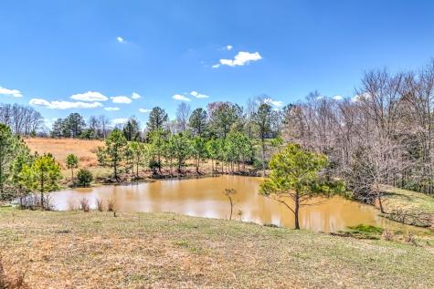 0 Bradford Primm Springs TN 38476