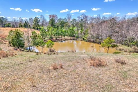 0 Bradford Primm Springs TN 38476