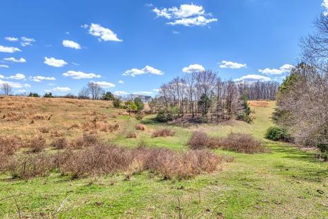 0 Bradford Primm Springs TN 38476
