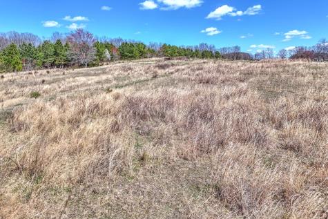 0 Bradford Primm Springs TN 38476