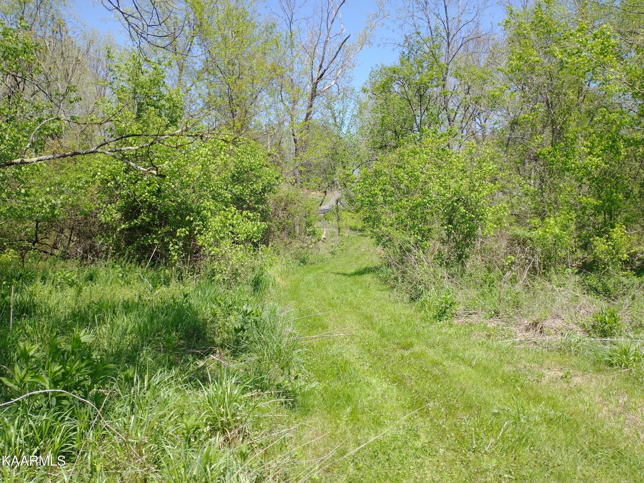 420 Winding Ridge Trail Seymour TN 37865