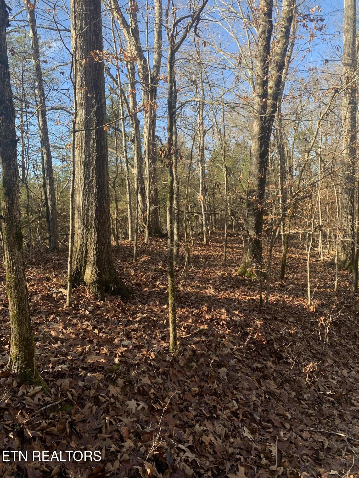 420 Winding Ridge Trail Seymour TN 37865