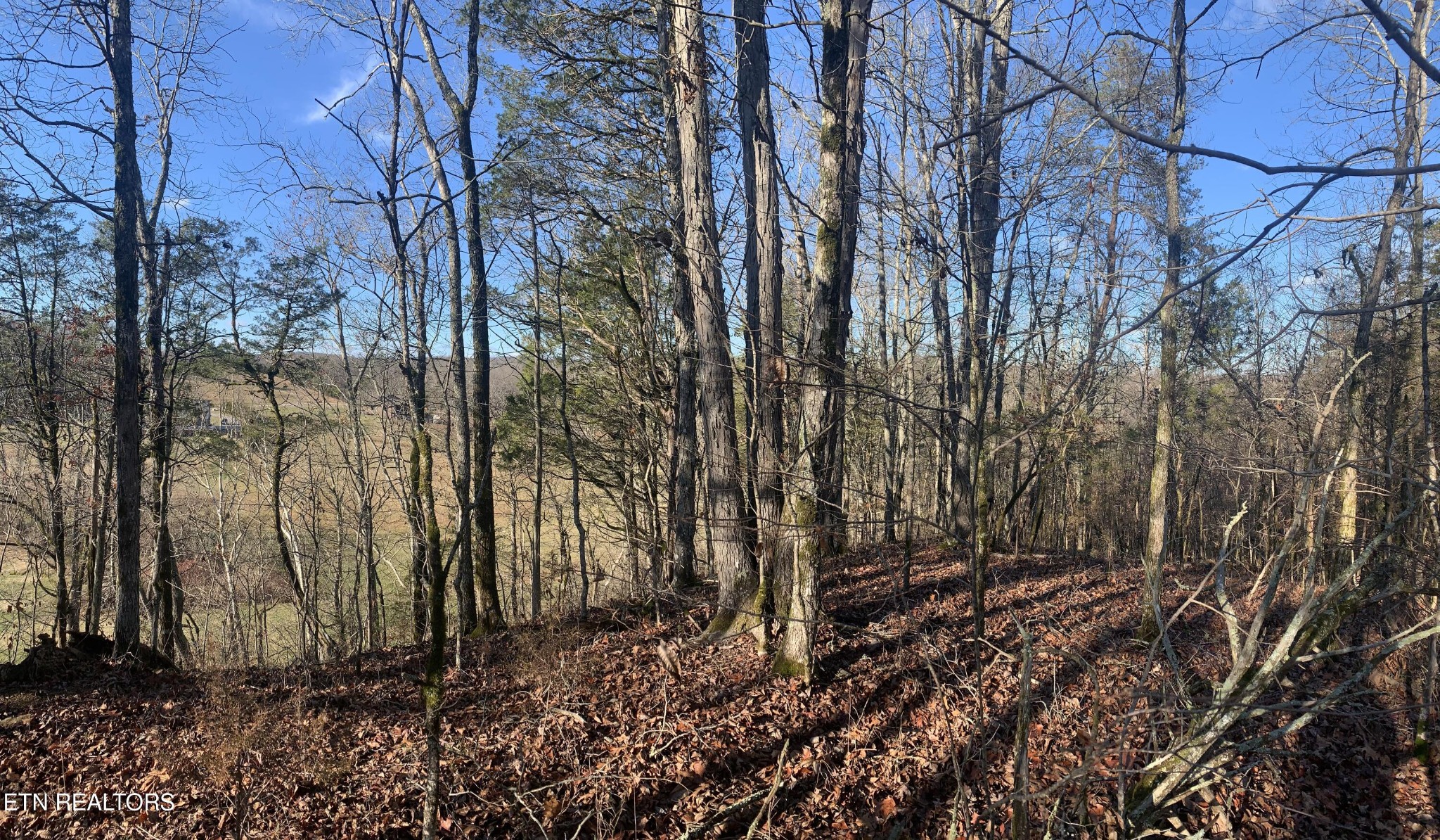 420 Winding Ridge Trail Seymour TN 37865