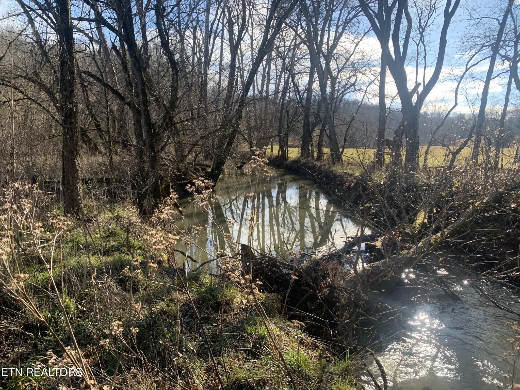 420 Winding Ridge Trail Seymour TN 37865