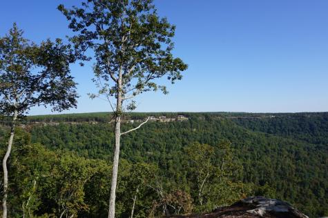 0 Crockett Point Jasper TN 37347
