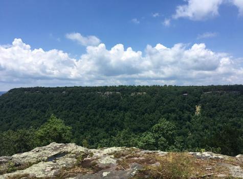 0 Crockett Point Jasper TN 37347