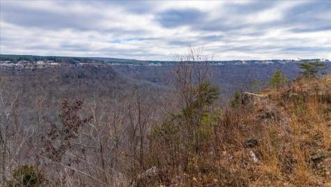 0 Crockett Point Jasper TN 37347