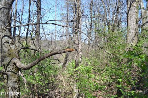 3024 Us-411 Maryville TN 37801