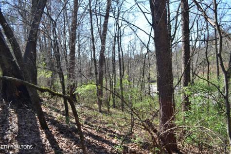 3024 Us-411 Maryville TN 37801