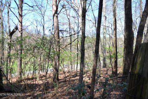 3024 Us-411 Maryville TN 37801