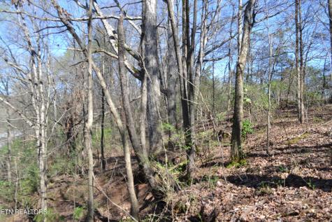 3024 Us-411 Maryville TN 37801