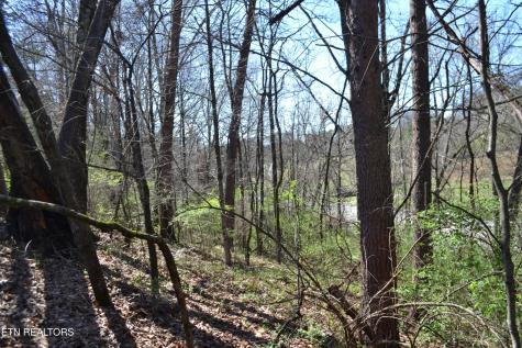3024 Us-411 Maryville TN 37801