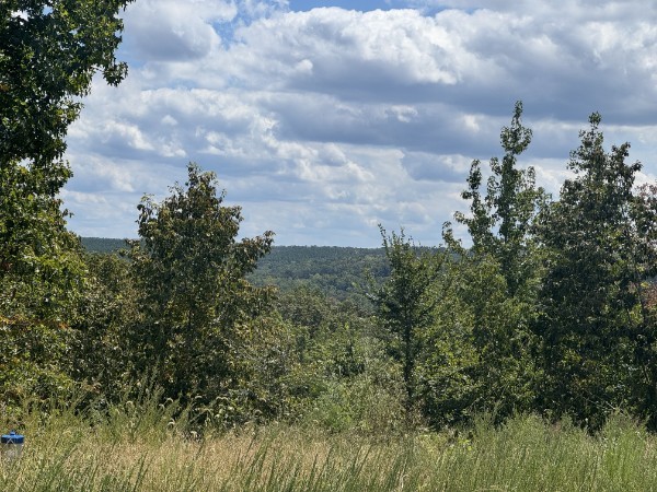 0 Richland Ridge Road Waverly TN 37185