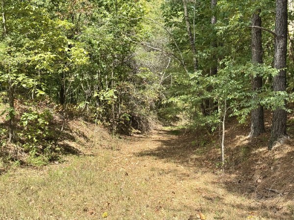 0 Richland Ridge Road Waverly TN 37185