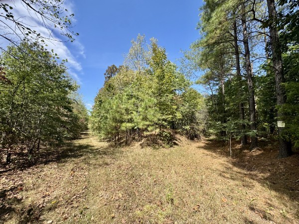0 Richland Ridge Road Waverly TN 37185