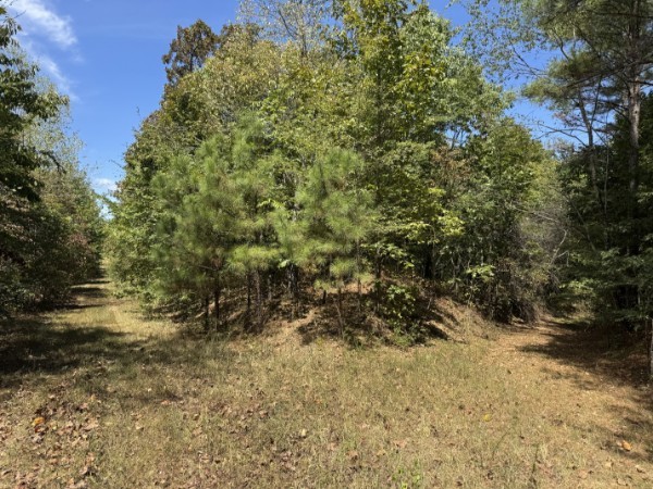 0 Richland Ridge Road Waverly TN 37185