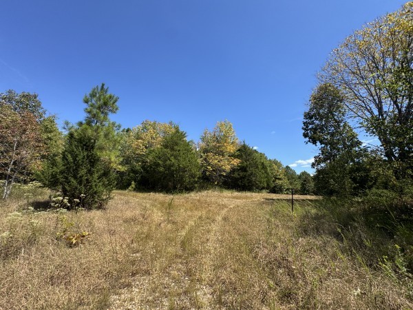 0 Richland Ridge Road Waverly TN 37185