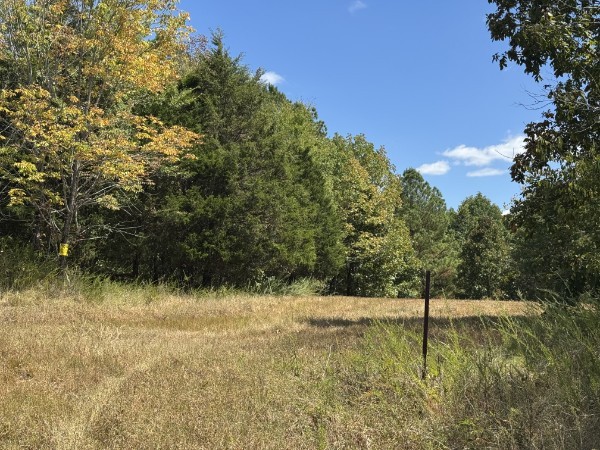 0 Richland Ridge Road Waverly TN 37185