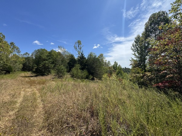 0 Richland Ridge Road Waverly TN 37185