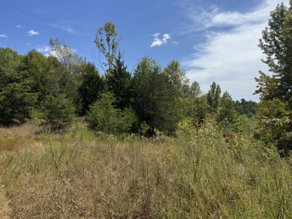 0 Richland Ridge Road Waverly TN 37185