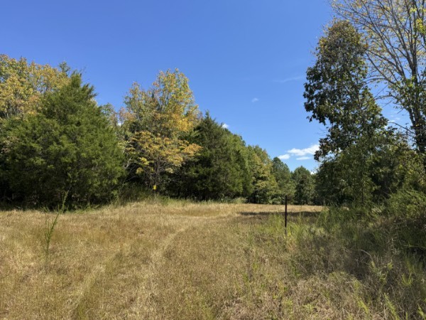 0 Richland Ridge Road Waverly TN 37185