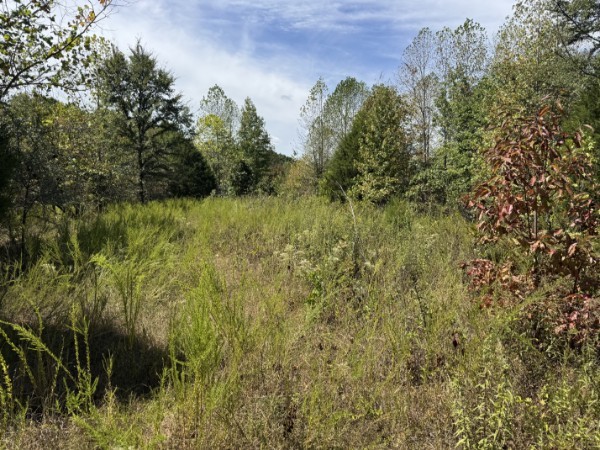 0 Richland Ridge Road Waverly TN 37185