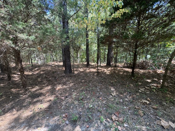 0 Richland Ridge Road Waverly TN 37185