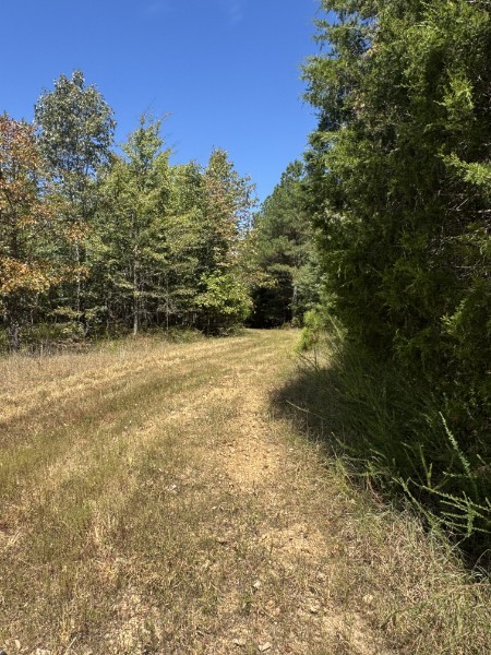 0 Richland Ridge Road Waverly TN 37185