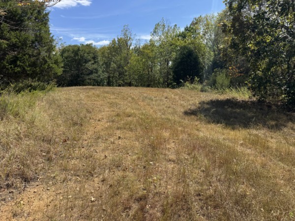 0 Richland Ridge Road Waverly TN 37185
