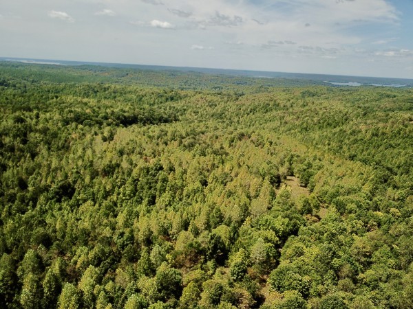 0 Richland Ridge Road Waverly TN 37185