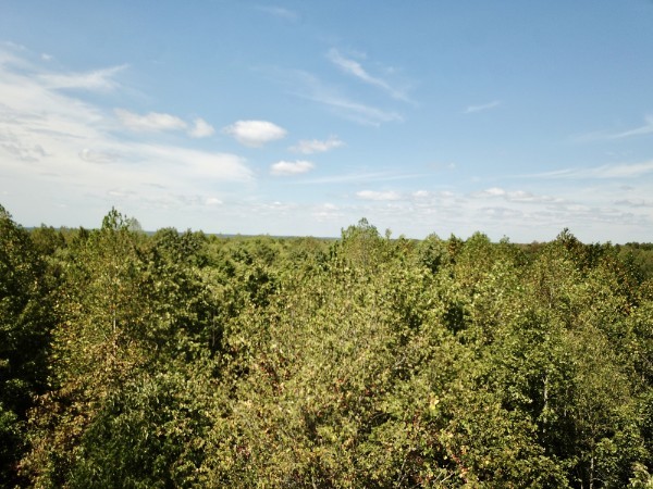 0 Richland Ridge Road Waverly TN 37185