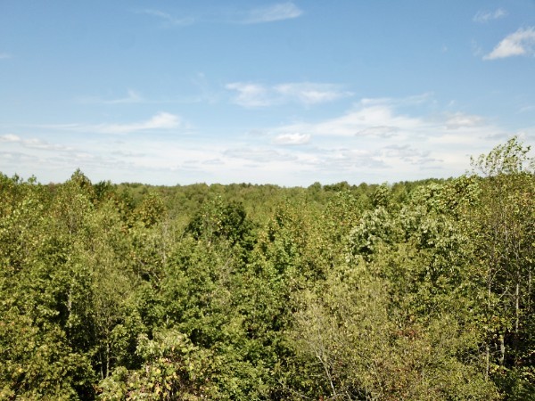 0 Richland Ridge Road Waverly TN 37185